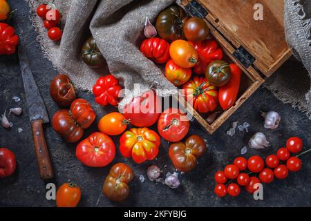 Viele verschiedene Arten, Formen und Größen von Tomaten in einer alten Holzkiste und auf einer dunklen Oberfläche, flach liegend, Draufsicht. Erntekonzept Stockfoto