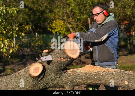 Ein Mann sägt Holz mit einer Kettensäge. Sägemehl fliegt in verschiedene Richtungen Stockfoto