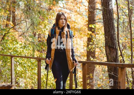 Wanderinnen im Wald mit Kamera, Rucksack und Nordic Walking Stöcken Stockfoto