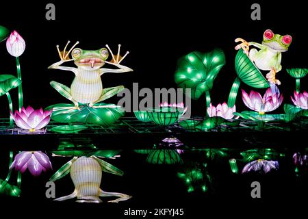 London, England - Dezember 26 2021: Beleuchtete Froschskulpturen bei Lightopia im Crystal Palace Park, London Stockfoto