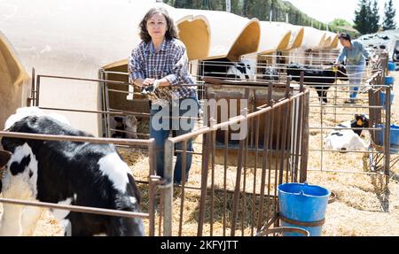 Reife Bäuerin posiert auf dem Kuhbetrieb Stockfoto