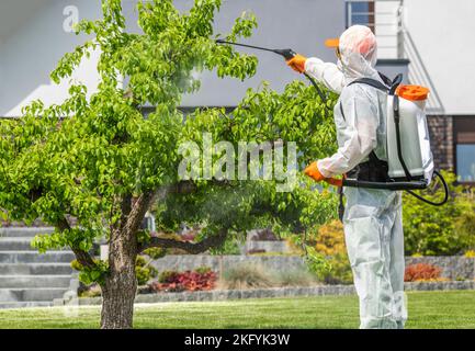 Professioneller Gärtner in Schutzausrüstung sicheres Auftragen von Pestiziden auf Baum mit Pumpsprüher. Thema Gartenpflege und -Pflege. Stockfoto