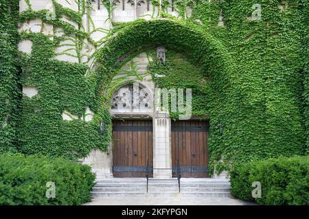 Doppelte Eingangstüren eines gotischen Gebäudes, mit Efeu bedeckt, Rockefeller Memorial Chapel, University of Chicago Stockfoto