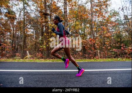 Die kenianische Athletin Beatrice Chepkoech gewann den Lauf mit einer Zeit von 47,18 Minuten. Rund 17.500 Teilnehmer liefen den 'NN Zevenheuvelenloop', der seit Jahren Tausende von Läufern aus den Niederlanden und dem Ausland nach Nijmegen lockt. Der Platz gilt als einer der schönsten des Landes. Bei den Männern gewann die ugandische Athletin Rogers Kibet mit einer Zeit von 42,08 Minuten, bei den Frauen die kenianische Athletin Beatrice Chepkoech mit einer Zeit von 47,18 Minuten. Sie liefen über die sehr bekannten sieben Hügel, die sich in Berg en Dal befinden, bevor sie in Nijmegen ankamen. Die Bedeutung von Zevenheuvele Stockfoto