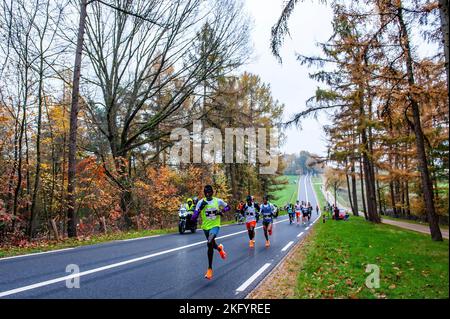 Auf Platz 1 mit der Nummer 7 gewann der ugandische Athlet Rogers Kibet den Lauf mit einer Zeit von 42,08 Minuten. Rund 17.500 Teilnehmer liefen den 'NN Zevenheuvelenloop', der seit Jahren Tausende von Läufern aus den Niederlanden und dem Ausland nach Nijmegen lockt. Der Platz gilt als einer der schönsten des Landes. Bei den Männern gewann die ugandische Athletin Rogers Kibet mit einer Zeit von 42,08 Minuten, bei den Frauen die kenianische Athletin Beatrice Chepkoech mit einer Zeit von 47,18 Minuten. Sie liefen über die sehr bekannten sieben Hügel, die sich in Berg en Dal befinden, bevor sie in Nijmegen ankamen. Stockfoto