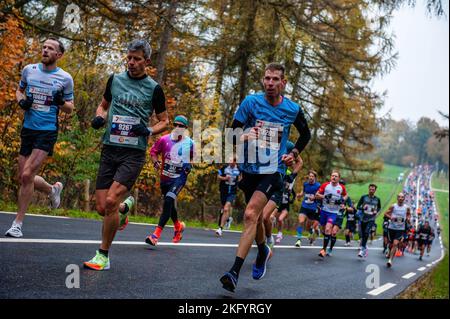 Einige Läufer werden müde gesehen, während sie die sieben Hügel laufen. Rund 17.500 Teilnehmer liefen den 'NN Zevenheuvelenloop', der seit Jahren Tausende von Läufern aus den Niederlanden und dem Ausland nach Nijmegen lockt. Der Platz gilt als einer der schönsten des Landes. Bei den Männern gewann die ugandische Athletin Rogers Kibet mit einer Zeit von 42,08 Minuten, bei den Frauen die kenianische Athletin Beatrice Chepkoech mit einer Zeit von 47,18 Minuten. Sie liefen über die sehr bekannten sieben Hügel, die sich in Berg en Dal befinden, bevor sie in Nijmegen ankamen. Die Bedeutung von Zevenheuvelenloop im Englischen w Stockfoto