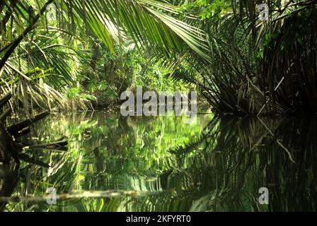 Ein Blick auf den Cigenter River auf Handeuleum Island, einem Teil des Ujung Kulon National Park, das einzige Zuhause für das vom Aussterben bedrohte javanische Nashorn (Rhinoceros sondaicus), das sich in Pandeglang, Banten, Indonesien befindet. Stockfoto