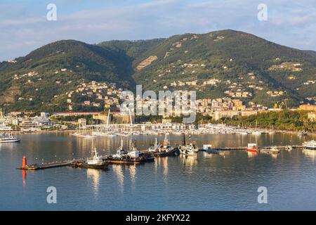 Festgeklammerte Schlepper und Yachthafen mit Segelbooten und Sportboote, La Spezia, Italien Stockfoto