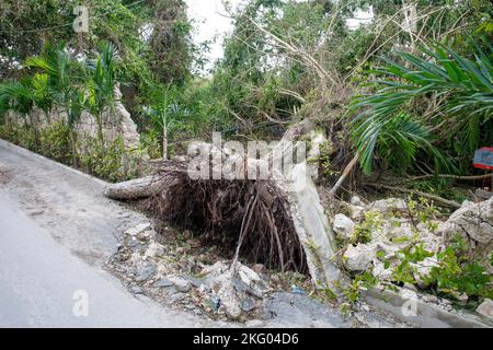 Die Folgen des Unarals Fiona. Dominikanische Republik. Punta cana. Stockfoto