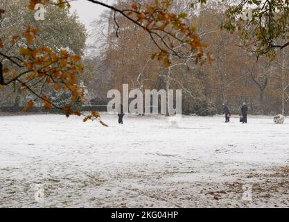 Berlin, Deutschland. 20.. November 2022. Im Tiergarten in Berlin, Deutschland, haben die Menschen Spaß im Schnee, 20. November 2022. Quelle: Stefan Zeitz/Xinhua/Alamy Live News Stockfoto