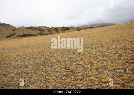 Der sanfte Hang eines hohen Hügels mit niedrigem spärlichen Gras unter einem bewölkten Herbsthimmel. Altai, Sibirien, Russland. Stockfoto