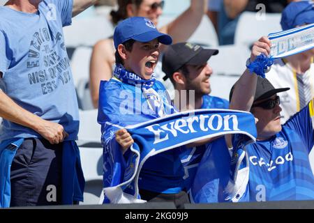 Sydney, Australien. 20.. November 2022. SYDNEY, AUSTRALIEN - 20. NOVEMBER: Everton-Fans jubeln während des Spiels zwischen Everton und Celtic im Accor Stadium am 20. November 2022 in Sydney, Australien Credit: IOIO IMAGES/Alamy Live News Stockfoto