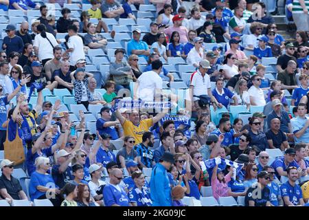 Sydney, Australien. 20.. November 2022. SYDNEY, AUSTRALIEN - 20. NOVEMBER: Everton-Fans jubeln während des Spiels zwischen Everton und Celtic im Accor Stadium am 20. November 2022 in Sydney, Australien Credit: IOIO IMAGES/Alamy Live News Stockfoto
