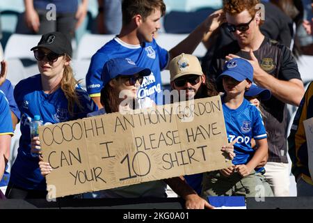 Sydney, Australien. 20.. November 2022. SYDNEY, AUSTRALIEN - 20. NOVEMBER: Everton-Fans jubeln während des Spiels zwischen Everton und Celtic im Accor Stadium am 20. November 2022 in Sydney, Australien Credit: IOIO IMAGES/Alamy Live News Stockfoto