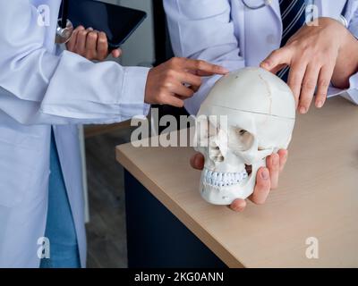 Zwei Ärzte in weißen Uniformen unterhalten sich und arbeiten im medizinischen Büro zusammen. Menschlicher Schädel Modell auf Schreibtisch in professionellen männlichen Arzt Hand, während bietet k Stockfoto