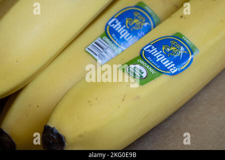 Nahaufnahme der aus Mexiko importierten Chiquita-Bananen aus biologischem Anbau. Chiquita Brands International Sàrl ist ein amerikanischer Produzent und Vertreiber von Bananen und... Stockfoto