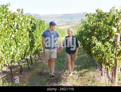 Hand in Hand gehen. Ein zufriedenes reifes Paar, das gemeinsam durch einen Weinberg schlendert. Stockfoto