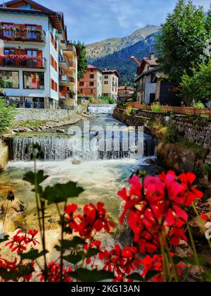 Eine vertikale Aufnahme der Wasserfälle von Ponte di Legno in Brescia, der Provinz Lombardei, Italien Stockfoto