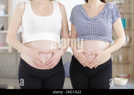 Zwei trächtige Freundinnen, die sich herzförmig an den Bauchhänden festhalten Stockfoto