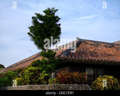 Traditionelles Haus auf der Insel Iriomote, Präfektur Okinawa, Japan Stockfoto