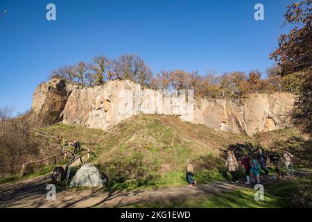 Felswand des Stenzelbergs im Siebengebirge bei Königswinter diente der Berg als Steinbruch für Quarzlatit bis zum Stockfoto