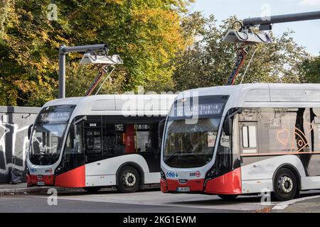 Elektrobusse der Koelner Verkehrs-Betriebe KVB an einer Ladestation in der Alfred-Schuette-Allee im Landkreis Poll, Köln. Elektrobus Stockfoto