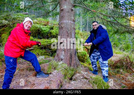 Oslo 20221119.Oberbürgermeister von Westminster, Hamza Taouzzale, (R) zusammen mit der Bürgermeisterin von Oslo, Marianne Borgen, während des Schneidens des Weihnachtsbaums in Nordmarka in Oslo, Norwegen 19. November 2022, die nach London geschickt werden. Seit 1947 hat die Gemeinde Oslo den Londoner Einwohnern einen Weihnachtsbaum geschenkt. Foto: Christoffer Andersen / NTB Stockfoto