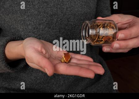 Ein Hut getrockneter roter Fliege in der Hand, medizinische Verwendung von Amanita muicaria. Stockfoto