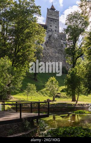 Geheimnisvoller kleiner Teich mit reichlich Nymphaea-Blättern in einem Park in der Nähe des mittelalterlichen Bran-Schlosses in Siebenbürgen. Brasov, Rumänien (vertikales Foto) Stockfoto