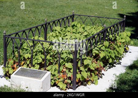 Friedhof der Könige. Grab von Jean Calvin ( Johannes Calvin ). Calvin war ein französischer Theologe, Pastor und Reformer in Genf während der Protestant Re Stockfoto