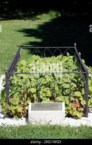 Friedhof der Könige. Grab von Jean Calvin ( Johannes Calvin ). Calvin war ein französischer Theologe, Pastor und Reformer in Genf während der Protestant Re Stockfoto