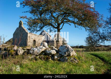 Capel Lligwy, ein zerstörtes Gebäude aus dem 12.. Jahrhundert in der Nähe von Moelfre an der Küste von Anglesey, Nordwales. Stockfoto