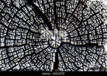 Die barocke Kapelle La Combe wird renoviert. Frankreich. Stockfoto