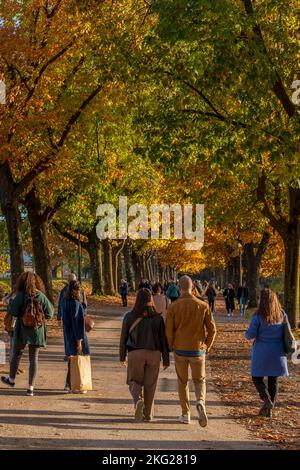 Die Menschen wandern auf den alten Umfassungsmauern von Lucca, Italien, unter einem natürlichen Tunnel aus Bäumen mit bunten Herbstfarben Stockfoto