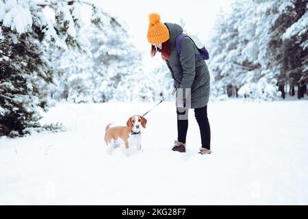 Frau mit roten Haaren spielt mit ihrem Hund in einem Winterwald Stockfoto