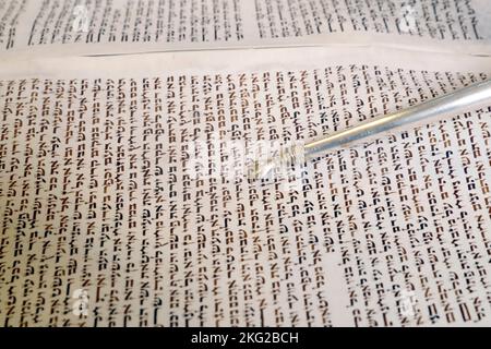 Rabbin hält einen yad in der Hand und liest eine uralte Tora-Schriftrolle. Yom Kippur. Stockfoto