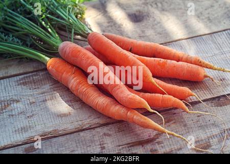 Karotte - ein Bund roter Karotten mit grünen Blättern auf einem Holztisch Stockfoto