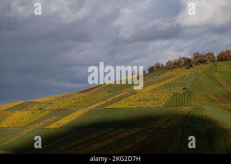 Stuttgart, Deutschland. 21.. November 2022. Bunte Reben auf dem Kappelberg sind zwischen bewölktem Himmel und Schatten einer Wolke zu sehen. Quelle: Marijan Murat/dpa/Alamy Live News Stockfoto