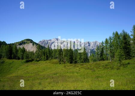 Berglandschaft bei Sauris, Friaul-Julisch Venetien, Italien, im Sommer Stockfoto