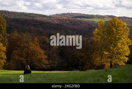 Stuttgart, Deutschland. 21.. November 2022. Herbstbäume sind in der Umgebung der Egelseer Heide zu sehen. Quelle: Marijan Murat/dpa/Alamy Live News Stockfoto