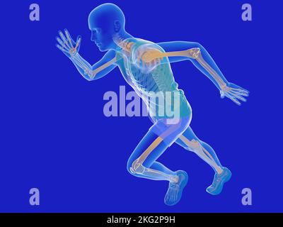 3D Abbildung eines Mannes in transparentem Kleid, das das innere Skelett zeigt. Menschliche Anatomie läuft. Stockfoto