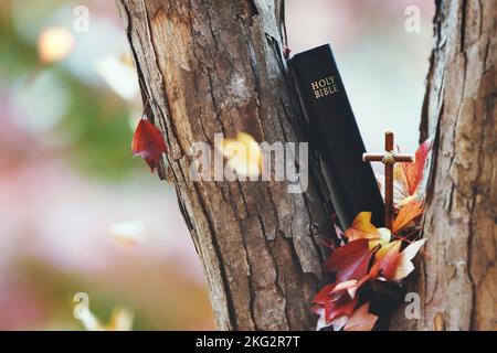 Wunderschöne herbstliche Blätter und rote Ahornblätter, die durch Bäume fallen, heiliges Kreuz von Jesus Christus und bibelbuch Stockfoto