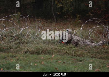 GREYWOLF Troopers, 1-12 Kavallerieregiment, 3. Panzerbrigade Combat Team, 1. Kavalleriedivision, führen einen Zug STX, 26. Oktober 2022. Trainingsveranstaltungen wie diese fördern die Einsatzbereitschaft in der gesamten Einheit und helfen den Soldaten, sich auf Situationen vorzubereiten, die sie auf dem Schlachtfeld treffen könnten. 1. Kavallerie-Division, 3. Panzerbrigade-Kampfteam, EINSATZ, GREYWOLF, Polen, stärker zusammen, Stockfoto