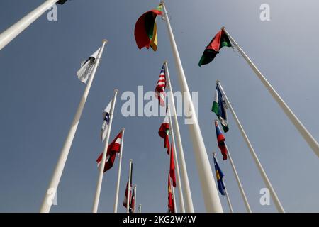 Flaggen der verschiedenen Länder, die auf der Dubai Expo 2020 vertreten sind. Vereinigte Arabische Emirate. Stockfoto