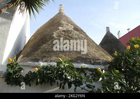 500 Jahre altes traditionelles Trullo-Steinhaus in Alberobello, Italien Stockfoto