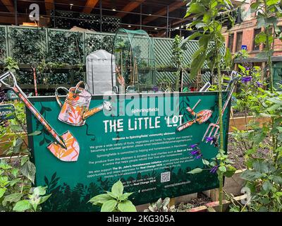 Eingebettet in den Hardman Square, der Patch, liebevoll das kleine ‘Lot genannt, wächst eine Vielzahl von Früchten, Gemüse, Kräutern und Blumen, einschließlich breiter Bohnen, Tomaten, Brombeeren und Zwiebeln, um nur einige zu nennen. Das kleine ‘Lot wird das ganze Jahr über von einer Gruppe von Grünfingerfreiwilliger betreut. Bild garyroberts/worldwidefeatures.com Stockfoto