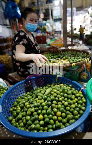 Limequat zum Verkauf auf dem Markt. Das Kalkquat ist ein Citrofortunella-Hybrid, der das Ergebnis einer Kreuzung zwischen dem Key-Kalk und dem Kumquat ist. Tan Chau. V Stockfoto