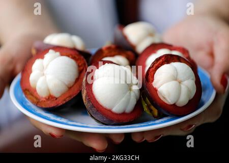 Mangostan-Frucht auf einem Teller gespalten. Tropische Frucht mit süßem saftigen weißen Segme. Vietnam. Stockfoto