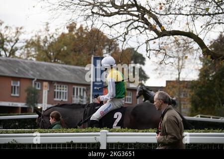 Ascot, Bergen, Großbritannien. 19.. November 2022. Jockey Lorcan Williams Gewinner des Ebony Horse Club Novice's Limited Handicap Steeple Chase auf Pferd Milan Bridge, trainiert von Paul Nicholls, der der einzige Läufer war, da die anderen vier Pferde aufgrund der Bodenbedingungen nach dem Einfluss der Sommerhitze zurückgezogen wurden. Jockey Lorcan musste nur einen Walkover über die Ziellinie machen, um zum Sieger gekrönt zu werden. Der letzte Walkover in Ascot war vor 39 Jahren, am 19.. November 1983, als Pferd Rosa Ruler in der Handicap-Hürde des Snow Hill über die Ziellinie lief. Quelle: Maureen McLean/Alamy Stockfoto