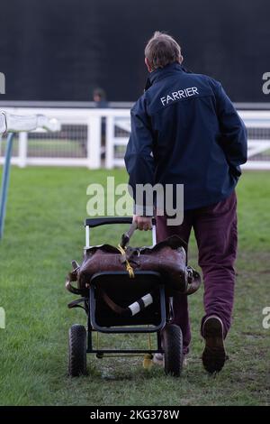 Ascot, Bergen, Großbritannien. 19.. November 2022. Einer der Ascot Racecourse-Harrier geht auf die Rennstrecke. Quelle: Maureen McLean/Alamy Stockfoto